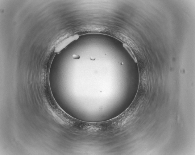 X0000088150352200705141554