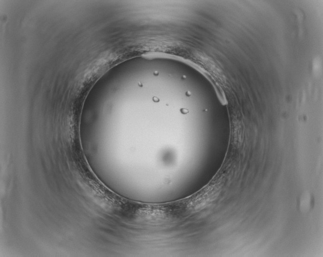 X0000088150354200705141554