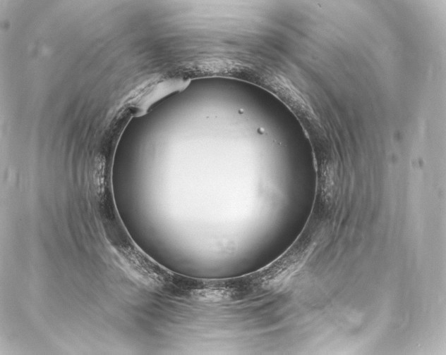 X0000088150356200705141554