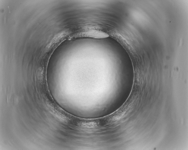 X0000088150357200705141554