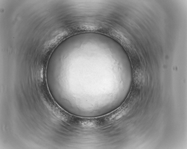 X0000088150358200705141554