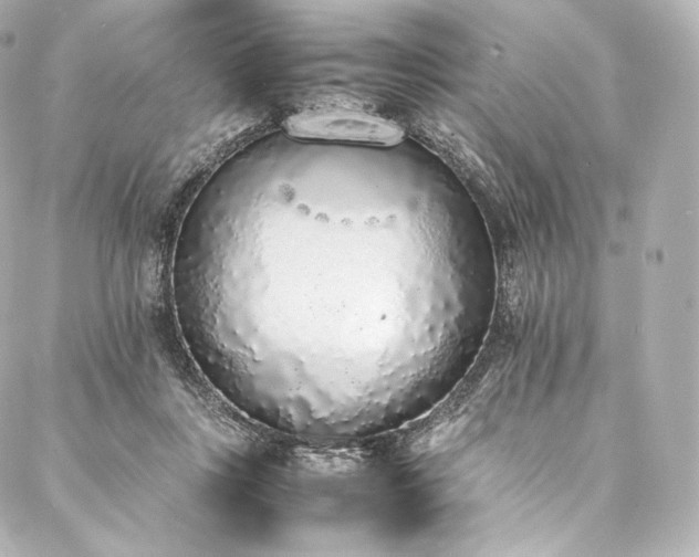 X0000088150359200705141554