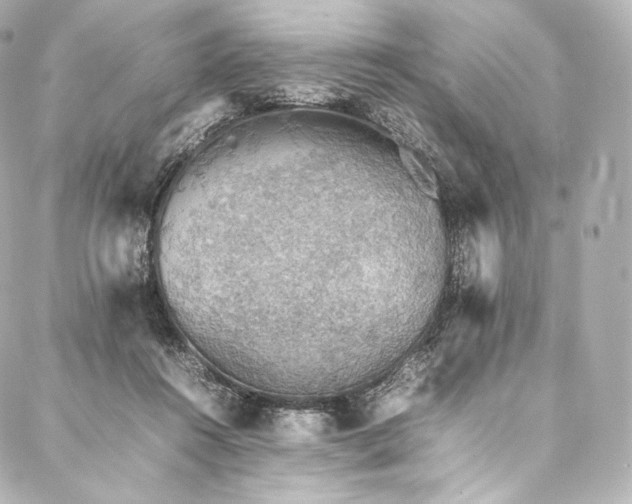 X0000088150360200705141554