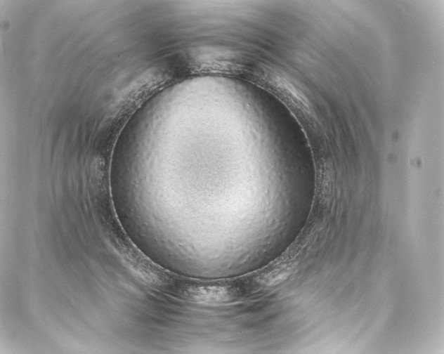 X0000088150361200705141554