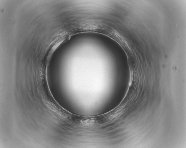 X0000088150362200705141554