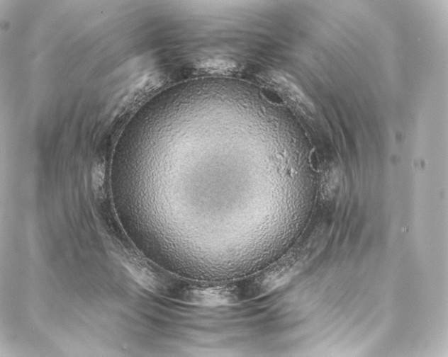 X0000088150365200705141554