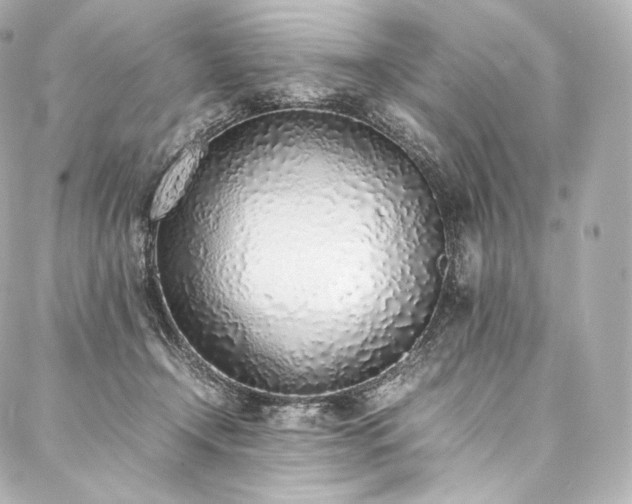 X0000088150366200705141554