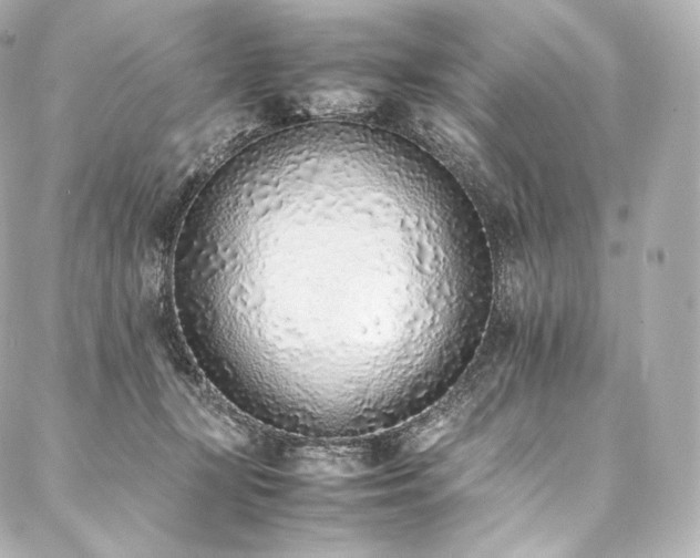 X0000088150367200705141554