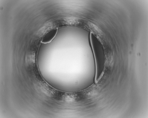 X0000088150368200705141554