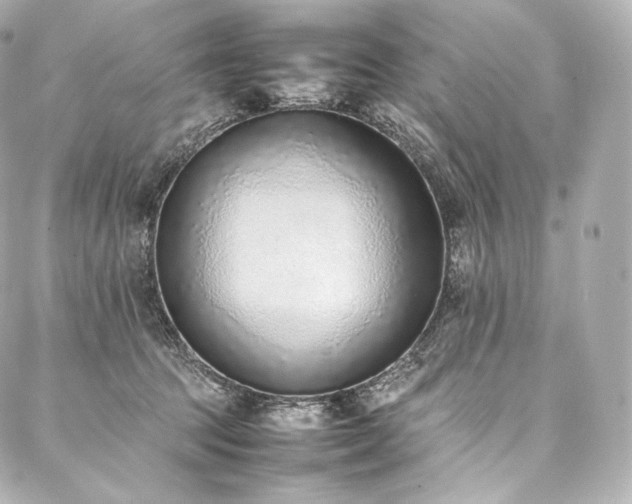 X0000088150369200705141554