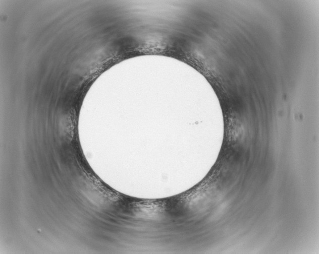 X0000088150370200705141554