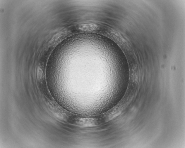 X0000088150371200705141554