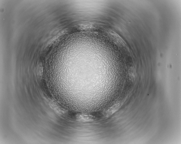 X0000088150372200705141554