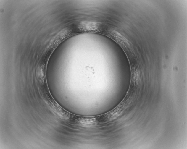 X0000088150373200705141554