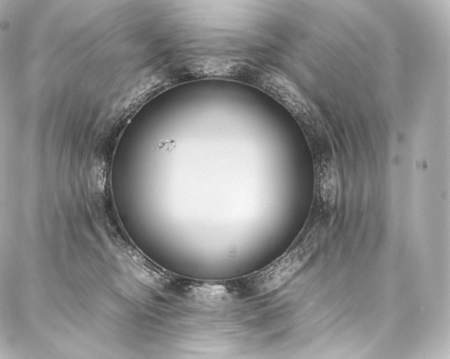 X0000088150374200705141554