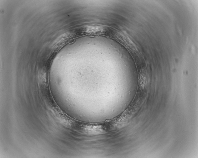 X0000088150375200705141554