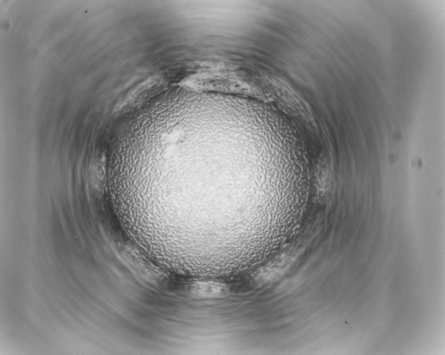 X0000088150376200705141554