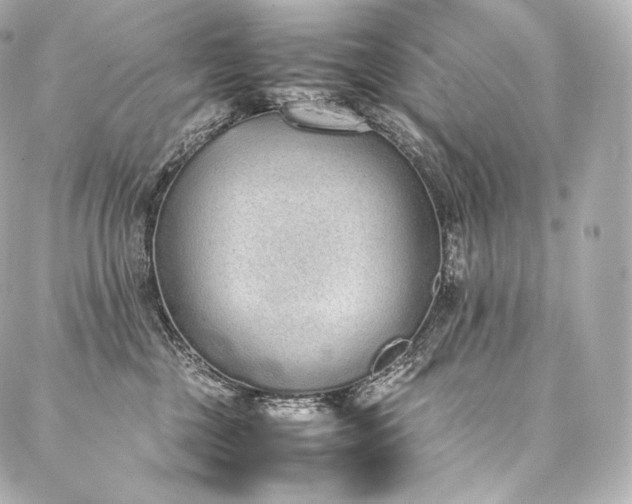 X0000088150377200705141554