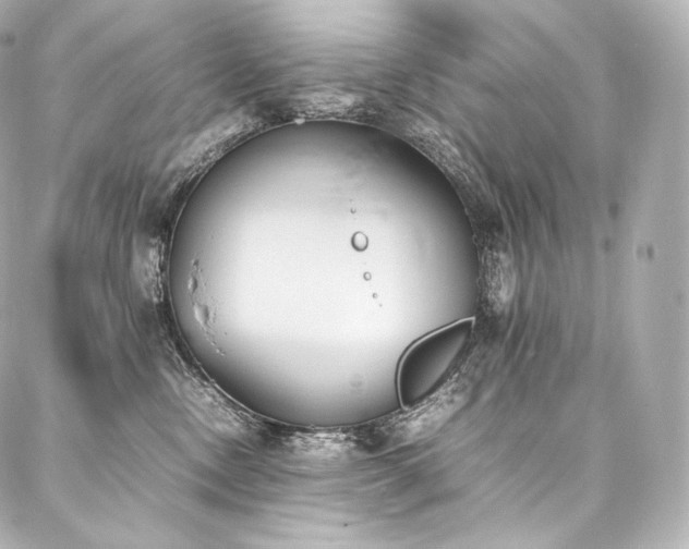 X0000088150378200705141554