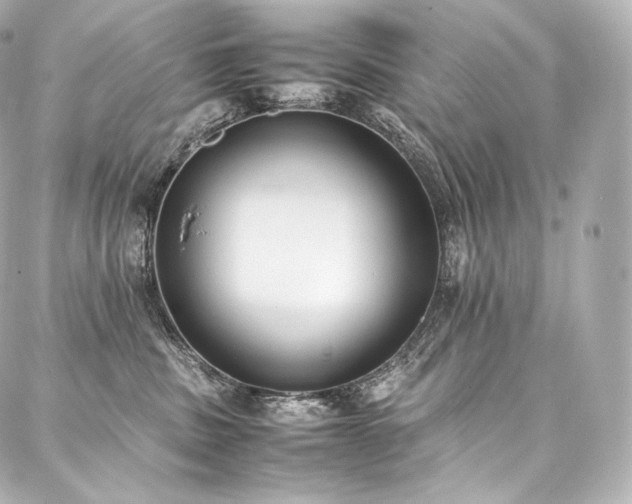 X0000088150379200705141554