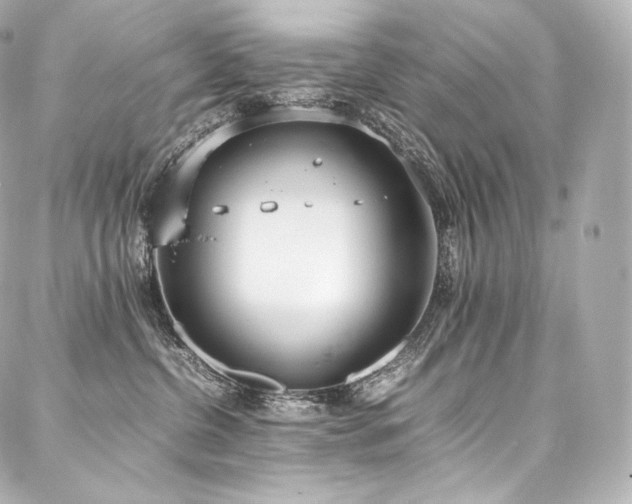 X0000088150380200705141554