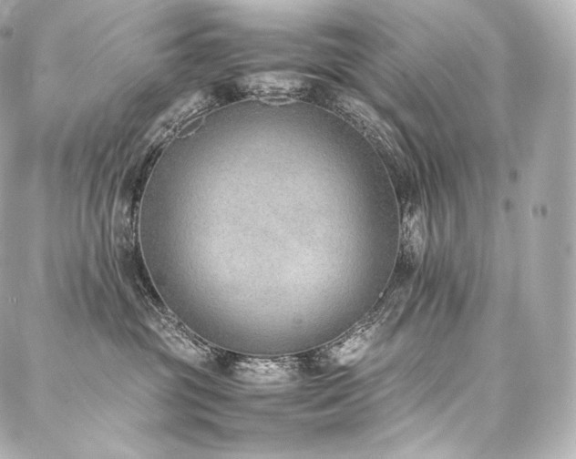 X0000088150381200705141554