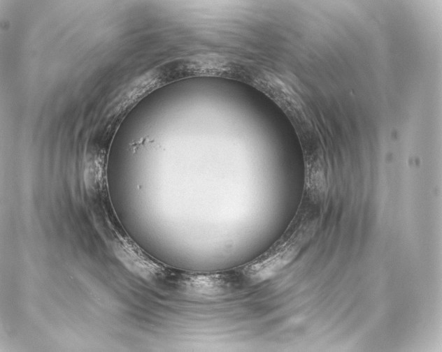 X0000088150382200705141554