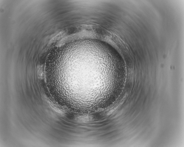 X0000088150383200705141555