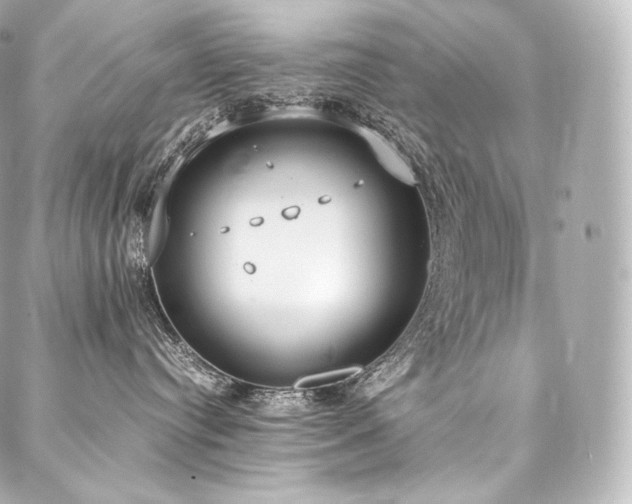 X0000088150384200705141555