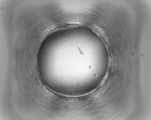 X0000088150385200705141554