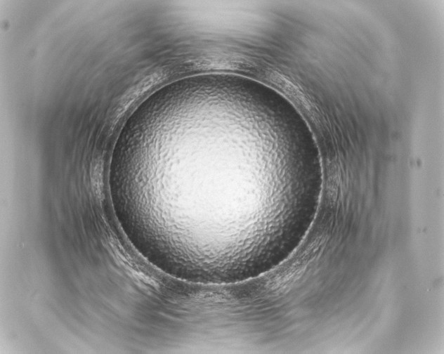 X0000088150386200705141554