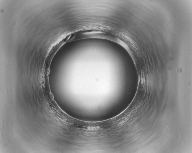 X0000088150388200705141554