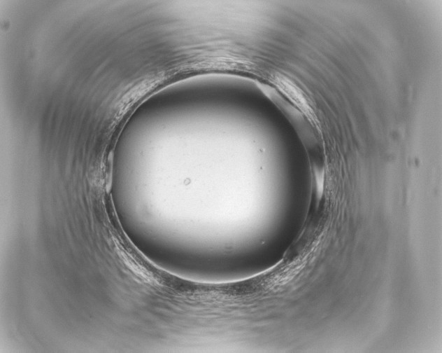 X0000088150389200705141554