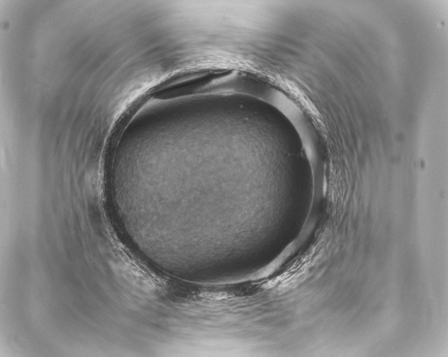 X0000088150391200705141554