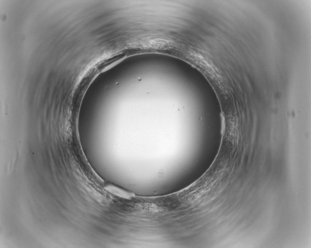 X0000088150392200705141554