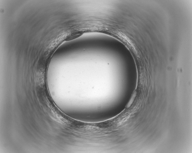 X0000088150393200705141554