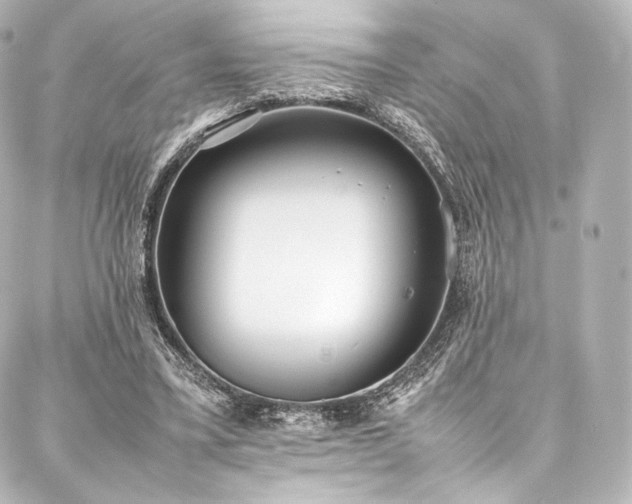 X0000088150395200705141554