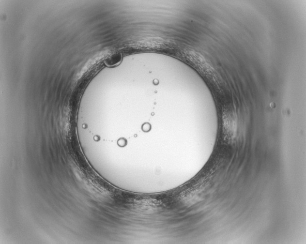 X0000088150396200705141554