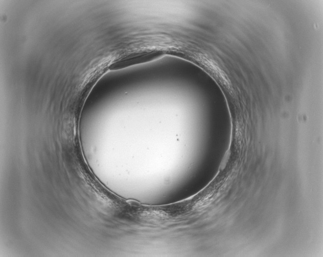 X0000088150397200705141554