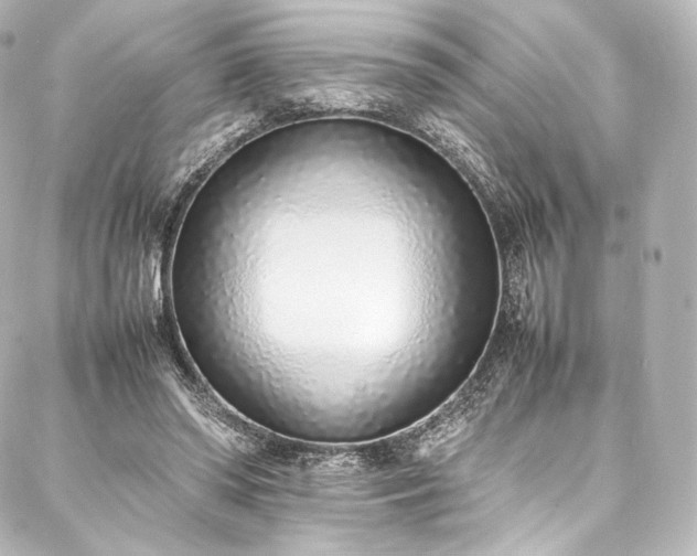 X0000088150398200705141554