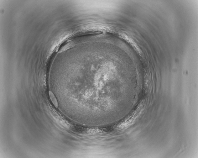 X0000088150399200705141554