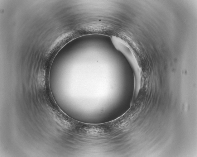 X0000088150400200705141554