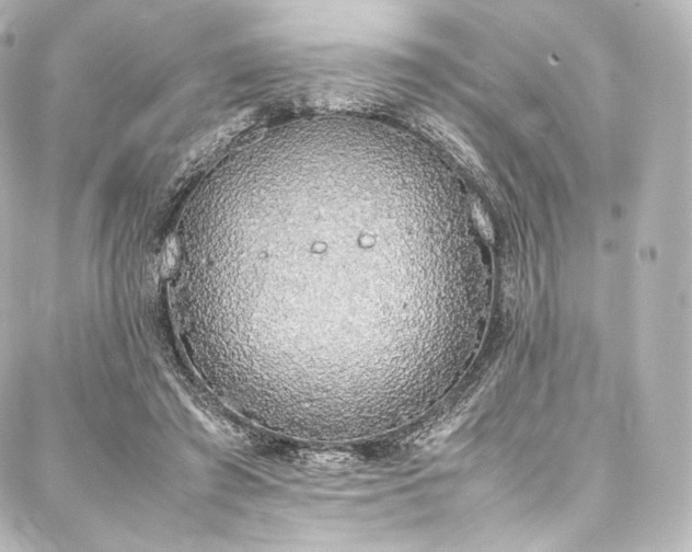 X0000088150401200705141554