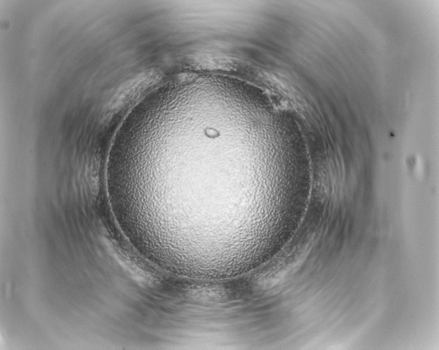 X0000088150402200705141553