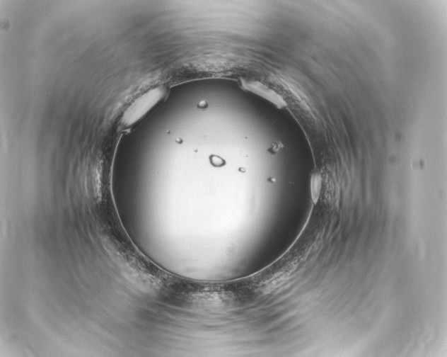 X0000088150404200705141553