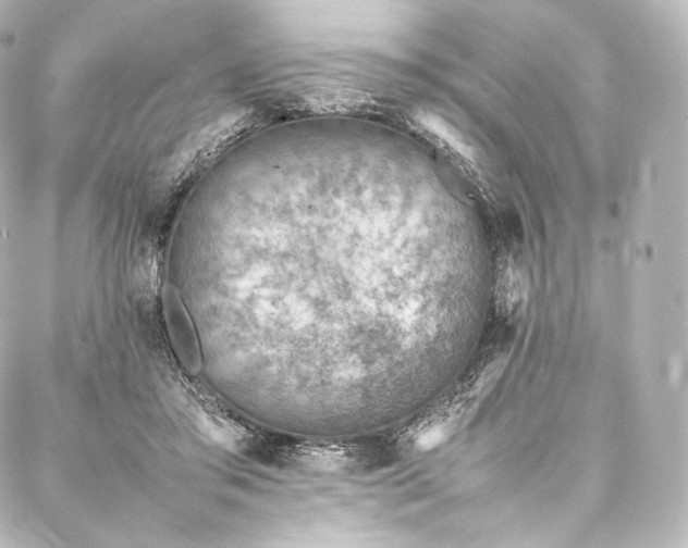 X0000088150405200705141553