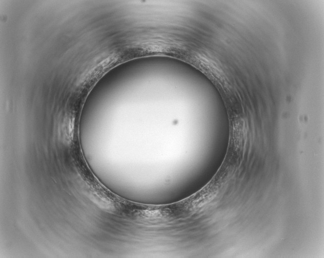 X0000088150406200705141553