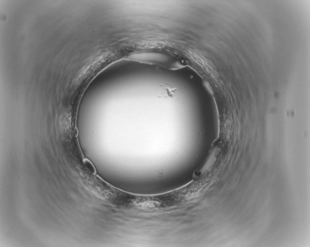 X0000088150407200705141553