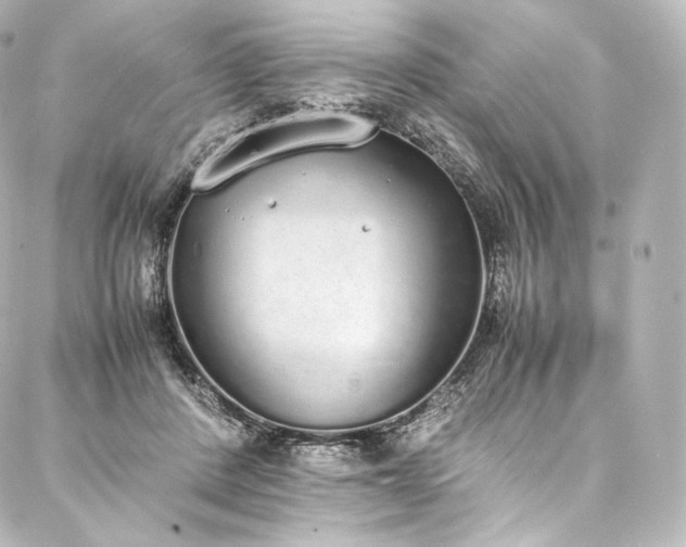 X0000088150408200705141553