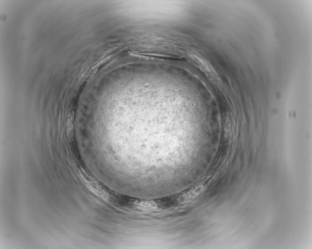 X0000088150409200705141553